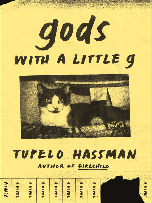 Title details for gods with a little g by Tupelo Hassman - Available